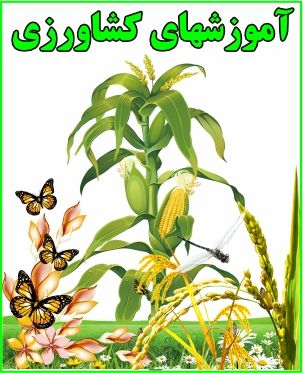 آموزشهای کشاورزی