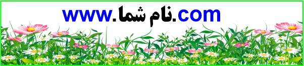 طراحی وب سایت واکنشگرا طراحی وب سایت واکنشگرا